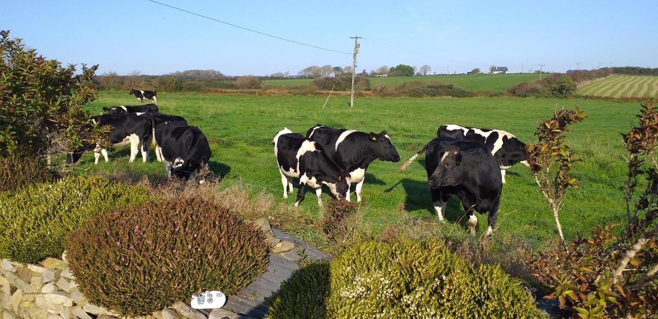 Murphys Irish Farmhouse Tralee Kültér fotó