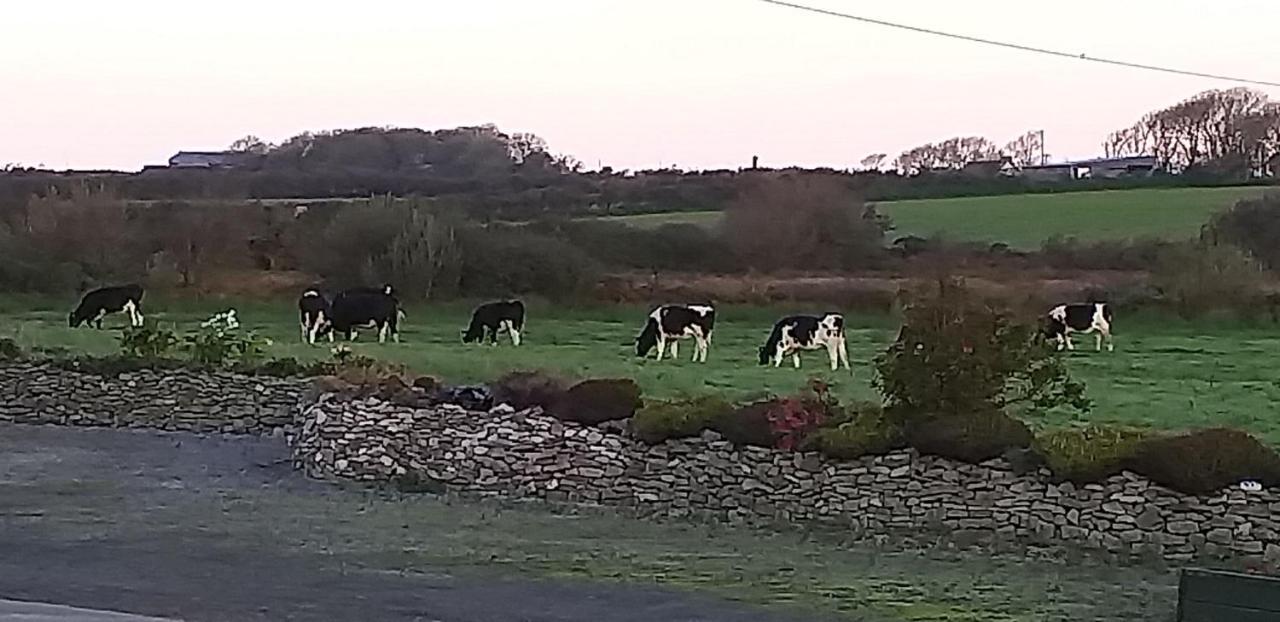 Murphys Irish Farmhouse Tralee Kültér fotó